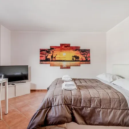 Rooftop San Giovanni Colosseum Area Apartment Rom